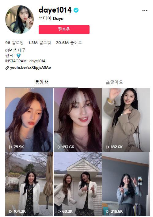 Tiktok Skinfluencers, will they become the next big thing in Korea ...